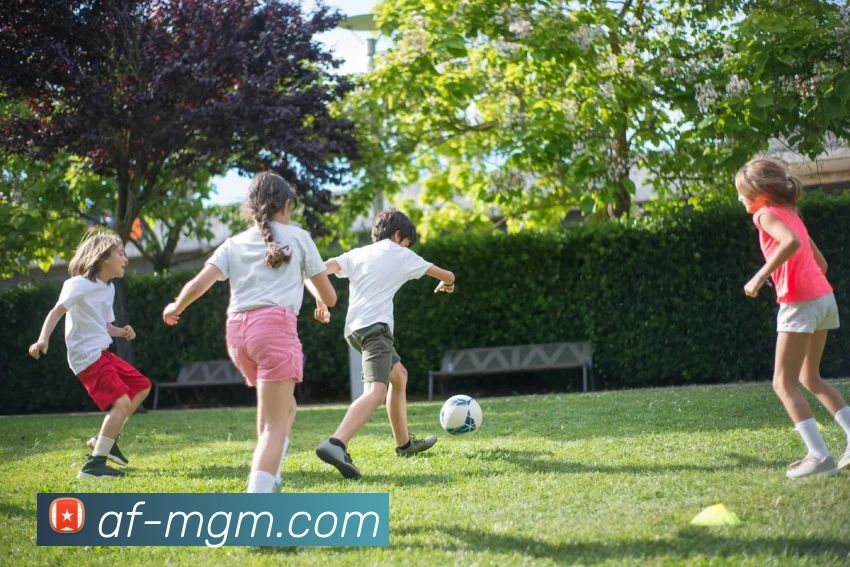 美高梅官网APP 体育赛事宣传图